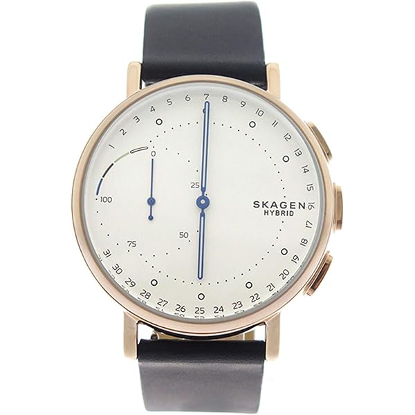 Amazon.co.jp: スカーゲン SKAGEN スマートウォッチ 腕時計 メンズ Amazon.co.jp: スカーゲン SKAGEN スマートウォッチ 腕時計 メンズ